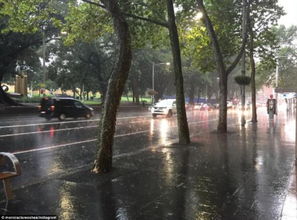 广州雷雨大风天气来袭，市民生活受影响