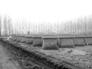 河南公职人员农田修坟，方城多部门回应引争议！