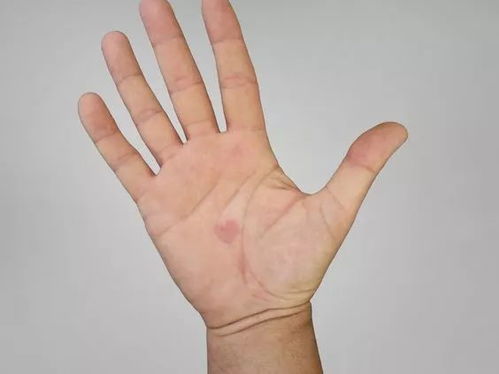 象征着坚定的态度