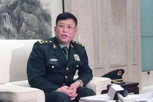 何雷将军出席某军事活动