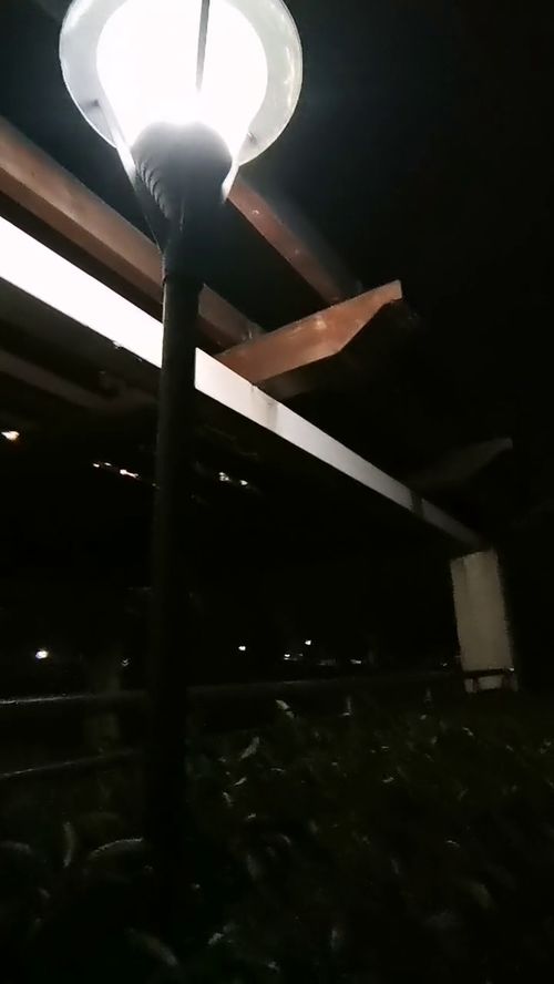 人们正常活动场景