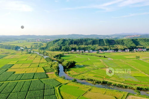 绿油油的农田,远处有农舍和青山