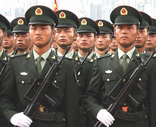 各国军官排队与董军握手