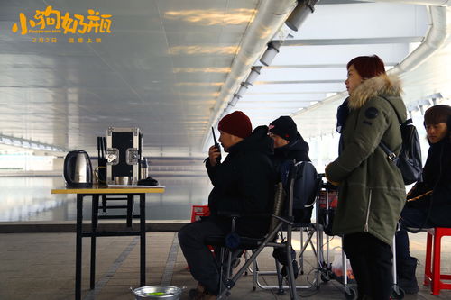 《731》导演拒绝中国人演日本人，背后真相令人深思！