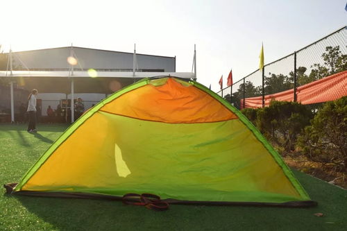 人们户外休闲娱乐