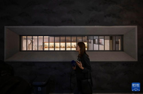 影厅内观众认真观看《731》的画面