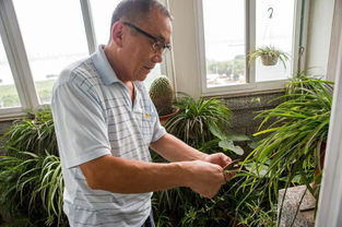 早退休vs晚退休，差别竟这么大！