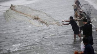 高校豪横！捞八万斤鱼请全校师生吃十天