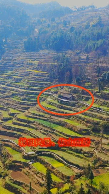 平静生活的画面