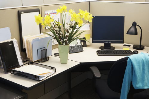 已在工位 消息秒回：职场人的日常担当！