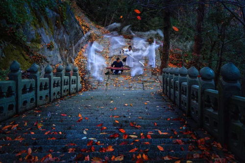 四川惊现神秘‘剑阵’，男子林中奇遇背后的真相