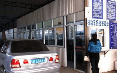 女子在车管所查询资料