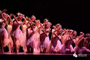 几个女生在舞台上开心地跳着上车舞