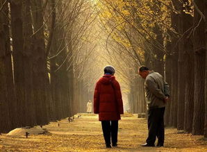 铭记历史！918鸣笛背后的深意