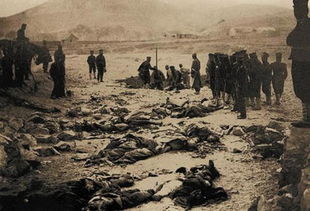 侵华日军罪行新铁证惊现，历史真相不容置疑！