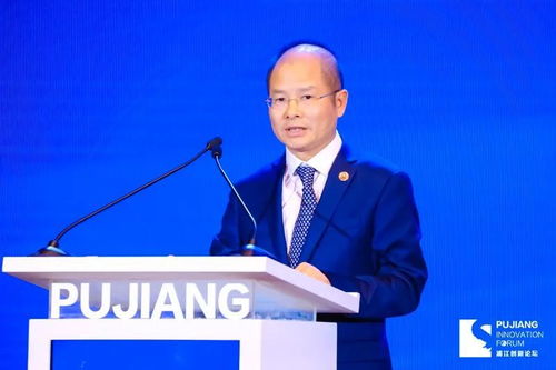 徐直军发表讲话现场图