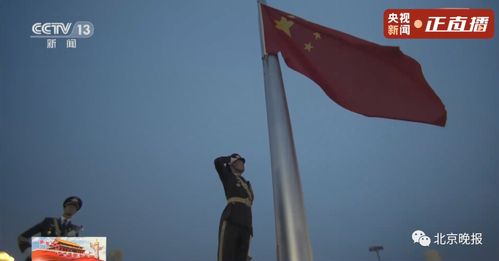 和平鸽飞过加沙上空