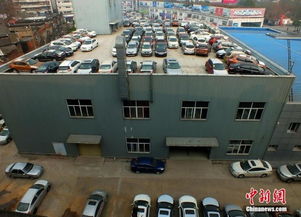 惊天发现！女子竟有138辆车挂名，背后真相令人咋舌