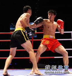 拳愿324：王马进化，纯武压制联系者的精彩对决！