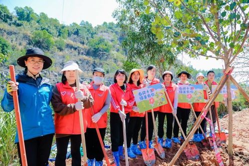 企业员工植树造林