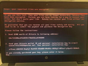 电脑屏幕显示病毒警报