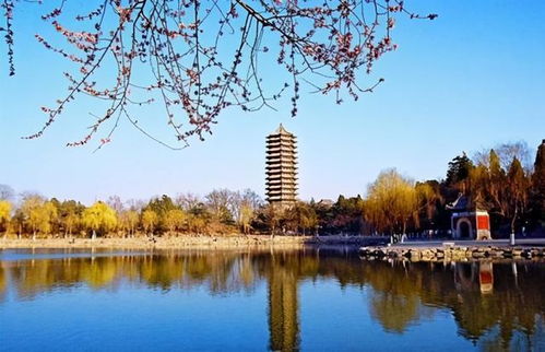 北大校园风景图