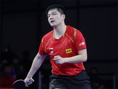 樊振东赛场英姿图