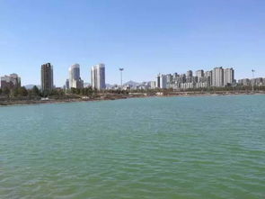 高校豪横！捞8万斤鱼宴请全校师生，场面超震撼