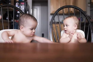 入室抢婴案主犯死缓后竟狂吠不止！