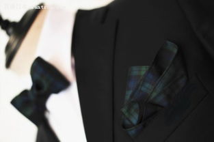 克里姆林宫证实：普京高级助手离职，背后真相引猜测