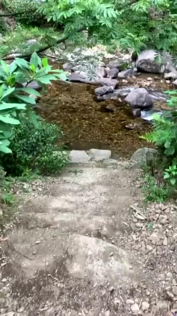 十四·五期间生态环境稳步向好