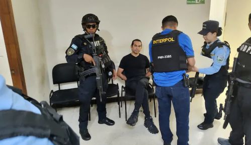 警察押解主谋的画面