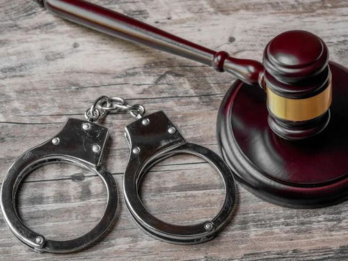 震惊！翟欣欣因敲诈勒索获刑十二年，细节曝光