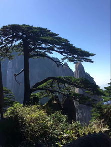 国庆假期倒计时：超全攻略助你畅享美好时光