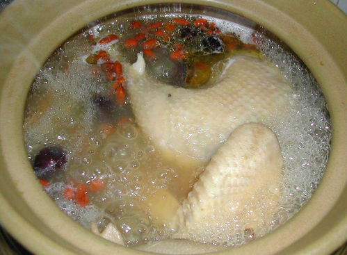 每天一个奇吧之天堂鸡汤吧：温暖灵魂的心灵港湾