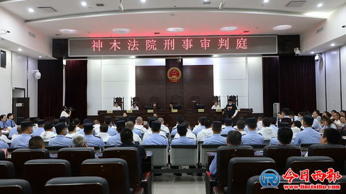 徐发启犯罪集团案一审开庭，背后细节令人咋舌！