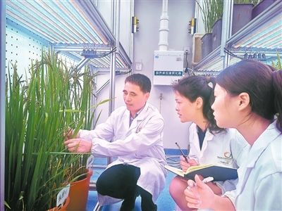 北交大团队讨论场景