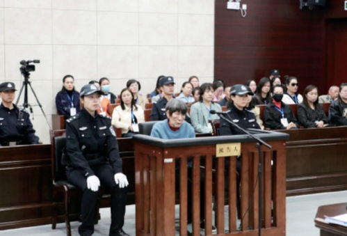 翟欣欣一审获刑12年，背后故事令人震惊！