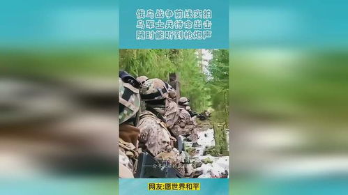 乌军突然反击背后真相大揭秘！