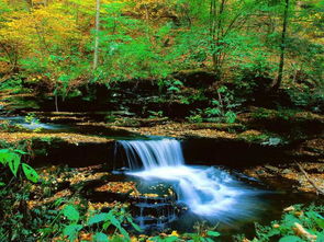 解读美丽中国建设新发展背后的奥秘