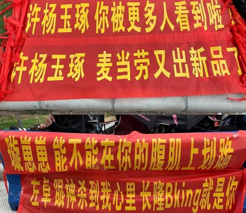 粉丝举着应援横幅欢呼