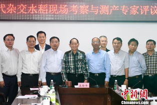 专家在现场考察