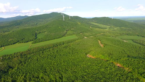 生态修复成果展示