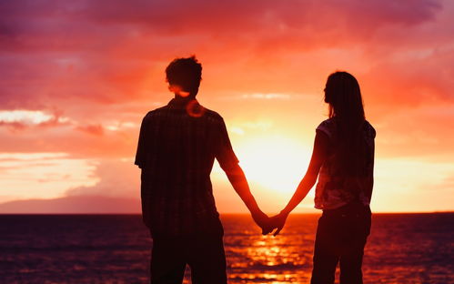 深度解读：婚姻绝非犯罪护身符 - 翟欣欣案引发的思考