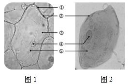 全球首个AI基因组面世，生物迎来革新时刻