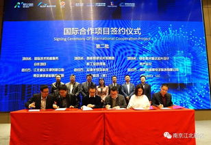 震惊！巴基斯坦竟成最大赢家，背后真相令人咋舌