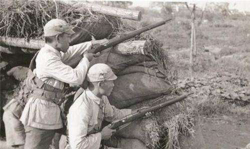 农妇怒吼引纠纷，法官判决赔偿十万背后真相大揭秘！