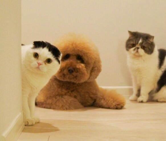 耳夹式耳机火爆的原因大揭秘