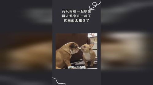 翟欣欣辱骂苏某某语音曝光，真相令人震惊！