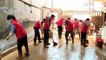 志愿者帮忙重建家园